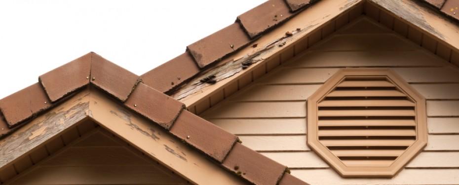 Mujcyrzutsinm7ozbbo2 termite treatment banner 1